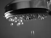 shower head